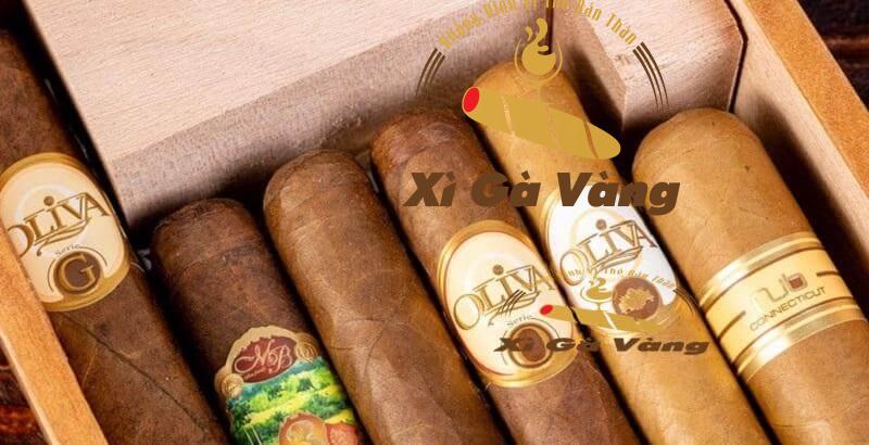 Xì gà Nub Connecticut có vẻ ngoài bóng bẩy